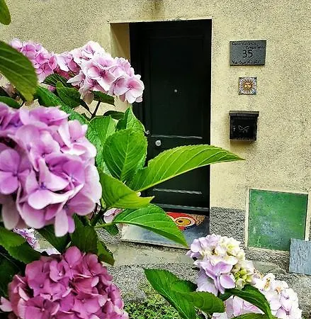 Casavacanzacinqueterre Σπίτι διακοπών Chiesanuova (Liguria)